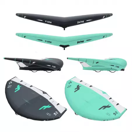 F-One Swing